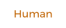 Human